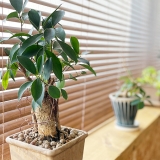 Case Study: 38-Year-Old Woman (Office Worker) – Chronic Shoulder & Neck Tension With Daily Headaches